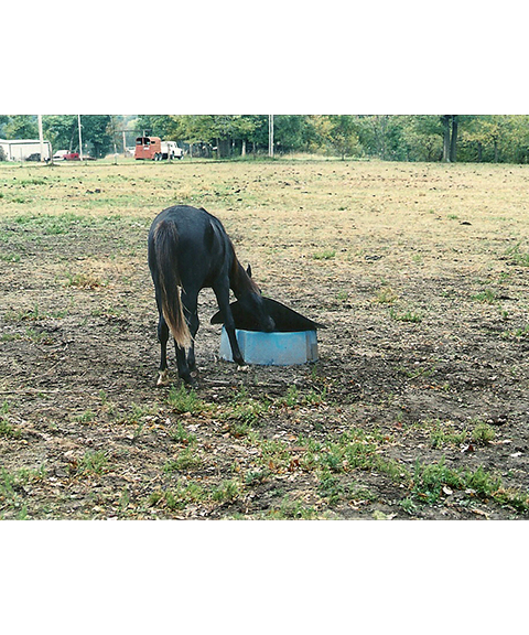 Energy Free Waterer